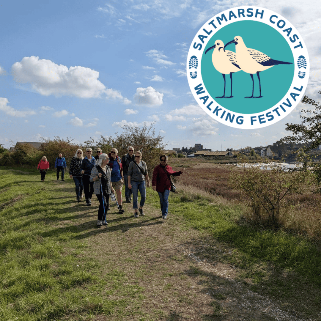 Saltmarsh Coast Walking Festival (1)